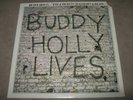BUDDY HOLLY/CRICKETS 20 Golden Greats RARE SEALED SS New Vinyl LP 1980 MCA-3040