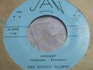 VERY RARE 60 GARAGE ROCKABILLY SURF ROCKIN FLAMES SHIM SHAM CRICKET NEAR MINT