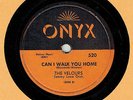 DOO-WOP 78 : THE VELOURS ON ONYX 520