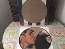 Blondie ?Parallel Lines LP RARE 1978 PICTURE DISC w/ ORIGINAL CUTOUT SLEEVE