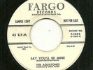 DooWop 45 The Aquatones Fargo F-1002 