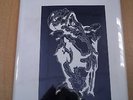 POSTCARDS FROM ABOVE THE CHEMIST VOL ONE BY ANDREW ELDRITCH SISTERS OF MERCY