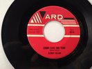 Teen Rockabilly Popcorn 45   Bobby Allan   Gonna Leave This Town   Listen