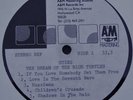 STING - BLUE TURTLES, RARE ORIG. 12