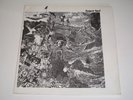 KANGAROO KOURT Sleeping Beauty LP rare private experimental electronic