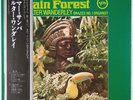 WALTER WANDERLEY: Rain Forest, Brazil Jazz VERVE Japan Vinyl LP w/ OBI NM-