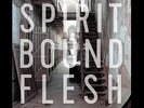 Scott Kelly - Spirit Bound Flesh Vinyl LP Myproudmou NEU