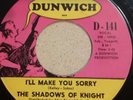 GARAGE 45 PSYCHE by THE SHADOWS OF KNIGHT HEAR IT