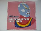 The Bees Sunshine Hit Me vinyl LP 2002 1st pressing ex con Beta Band psych pop