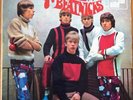 THE NEW BEATNICKS  rare german psych popsyke Mod beat M- vinyl LP Telefunken