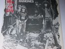 RAMONES - Sheena Is A Punk Rocker 7