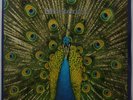 The Bluetones - Expecting to fly LP limited 180g vinyl NEU/SEALED