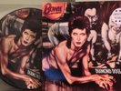 DAVID BOWIE DIAMOND DOGS LP PICTURE DISC