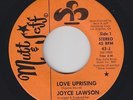 70s Soul 45 - Joyce Lawson - Love Uprising - Mutt & Jeff - mp3 - promo