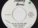 Funk 45 - Gloria Walker & Chevelles - You Hit The Spot - Flaming Arrow - mp3