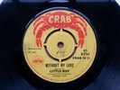 Skin/Boss Reggae Little Roy - Without You (listen)