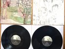 Margot and the Nuclear So So's - Not Animal Vinyl 2xLP  LIke New 2008 Original