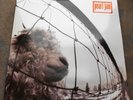 LP PEARL JAM Vs, 1st EU, MINT-
