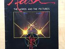 RUSH WORDS AND PICTURES - VOLUME II PROGRAMME 1980 A4 SIZED CONCERT BOOKLET WITH