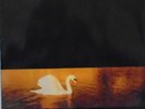 VAN MORRISON - Avalon Sunset   VINYL LP