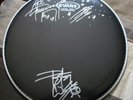 KISS Signed Evans Drumhead PETER CRISS & ACE FREHLEY Rare & REAL