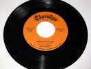 TOMMY JOHNSON & ELEGANCE Who Says/Take Me Back RARE 1970's Cherokee Funk 45 HEAR
