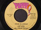 GIANT JELLYBEAN COPOUT: Awake In A Dream / Look At The Girls 45 Rock & Pop