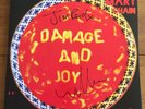 Jesus and Mary Chain - Damage And Joy 12