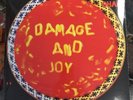 Jesus And Mary Chain DAMAGE AND JOY 7th Album GATEFOLD JaMC New Vinyl 2 LP