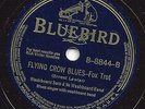 BLUES - WASHBOARD SAM 