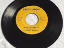 CLINTON FEARON - TOGETHERNESS/ VERSION...SKY HIGH RARE REGGAE ROOTS