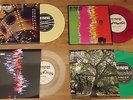 Noel Gallaghers High Flying Birds colour vinyl mint rare Oasis