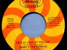 45 Northern Soul SANDY & THE PEBBLES He's My Kind Of Fellow 1967 Mercury 72745