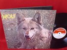 DARRYL WAY'S WOLF - Canis Lupus Deram UK 1st Edition FOC Prog Rock Archiv Mint -