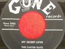 The CARTER RAYS on GONE: Ding Dong Darling/ My Secret Love doo wop R&B 45 1957