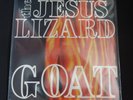 Jesus Lizard 