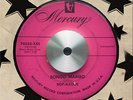 Bop-a-loos - Bongo Mambo GREAT R&B LATIN INSTRO RARE Hear