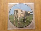PINK FLOYD Atom Heart Mother  Picture Disc Lp (mint)