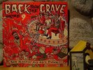BACK FROM THE GRAVE Vol. 9 LP/'60s Garage Rock/Last Of The Garage Punk Unknowns