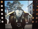 Swervedriver ?– Mezcal Head  Vinyl, LP, Album Original Nr. Mint