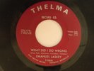Emmanuel Laskey 45 WHAT DID I DO WRONG / DON'T LEAD ME ON BABY   M- Detroit