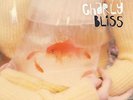 Charly Bliss - Guppy [New Vinyl LP]