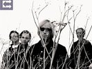 PETTY,TOM & HEARTBREAKERS-ECHO  (US IMPORT)  VINYL LP NEW