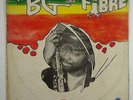 B.G. & Fibre 
