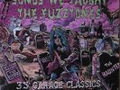 2 LP SONGS WE TAUGHT THE FUZZTONES 