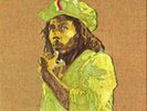 Bob Marley and The Wailers-Rastaman Vibration  Vinyl / 12
