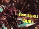 Bob Marley and The Wailers-Soul Rebels Dub  Vinyl / 12