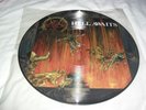 SLAYER -HELL AWAITS- AWESOME RARE LTD EDITION PICTURE LP ROADRUNNER BONUS TRACKS