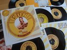 ELVIS PRESLEY SUN SINGLES BOX - EUROPE 2000 in mint condition RCA CASTLE