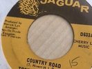 Toots & The Maytals - Country Road / Louie Louie - JAGUAR D633 - Rare
